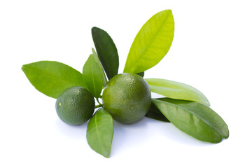 Lime