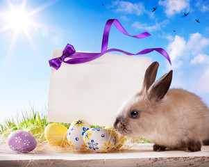 Easter greeting card with the Easter bunny and Easter eggs