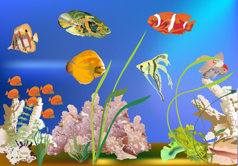 Fototapeta na wymiar bright fishes in sea illustration