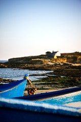Bretagne (île Raguénez, Finistère)