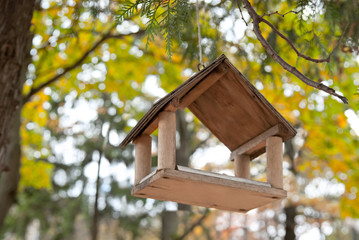 House for feeding birds