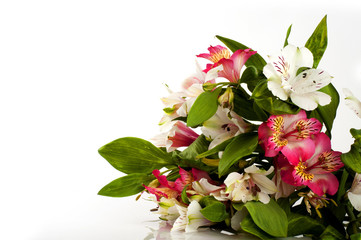 Bouquet of orchids on white background.