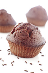 Cupcake / Muffins