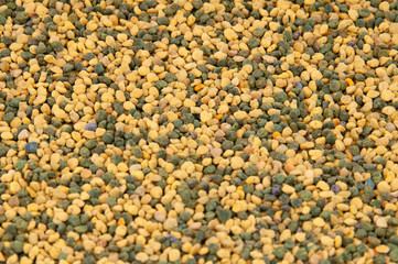 Bee pollen, background.