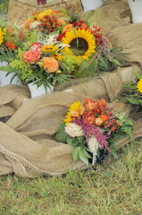 Fototapeta premium Blumen