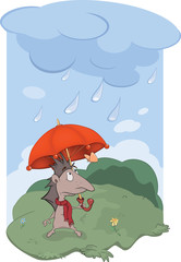 Hedgehog, a rain and the butterfly.Cartoon
