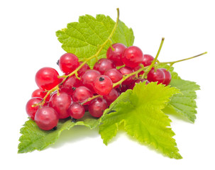 Red Currants with Green Leaves Isolated on White Background