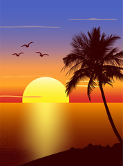 Sunset with palmtree silhouette