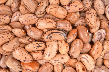 A pile of pinto beans