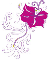 Obraz na płótnie Canvas A bright purple flower