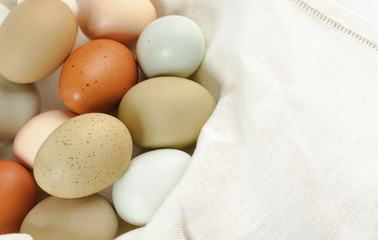 Multi colored chicken eggs