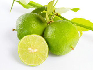 Limetten am Zweig