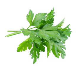 Fresh parsley