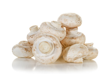 Mushrooms