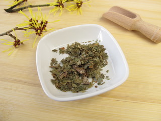 Hamamelisblätter, Hamamelis folium