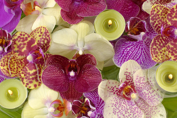 Obraz na płótnie Canvas macro shot of colorful orchid and candle background