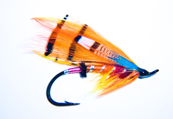 Fishing Fly