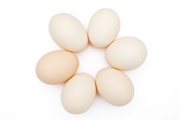 6 eggs lined up in circle with clipping path
