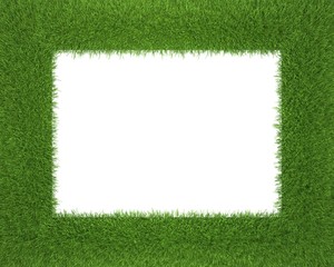 frame made of grass isolated on white background