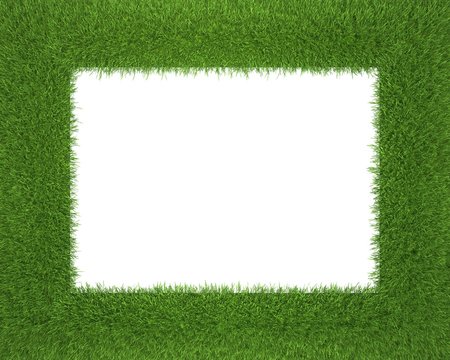 frame made of grass isolated on white background