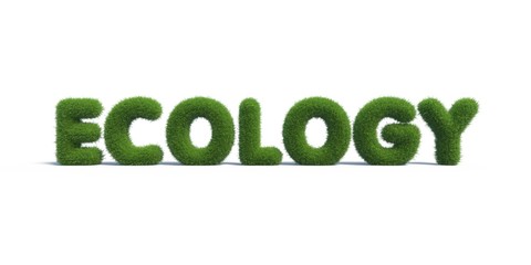ecology green grass in the form of letters