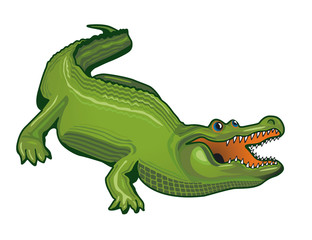 grosser Alligator
