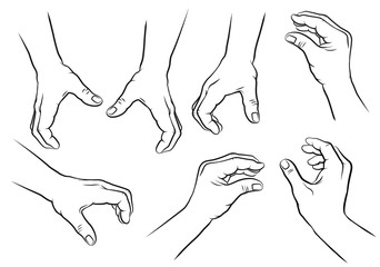 Greifende H&auml;nde, verschiedene