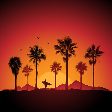 Silhouette of a surfer and palm trees at sunset