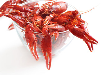 boiled crawfish on white background