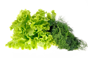 Salad leaf and dill isolated on white background