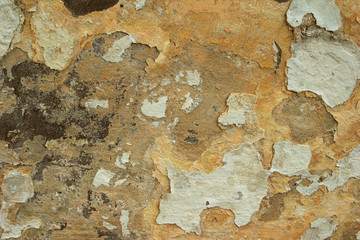 Grunge background