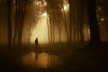 Foto op Plexiglas man in een bos reflecterend in een vijver na regen © andreiuc88