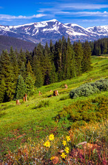 Blue Skies Of Boreas