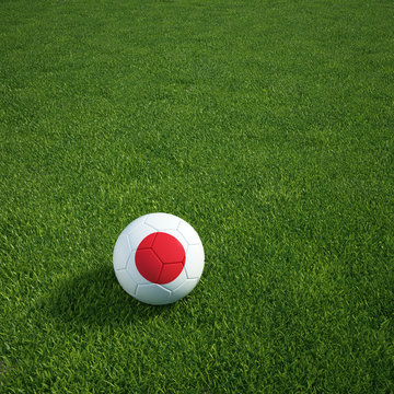 Japanese soccerball lying on a grass field