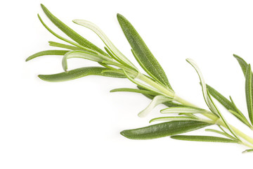 Rosemary Sprig