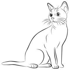 cat silhouette on a white background, vector illustration