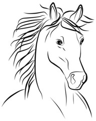 horse portrait on a white background, vector illustration