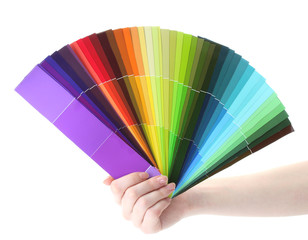 hand holding bright palette of colors isolated on white