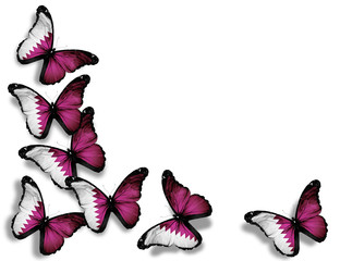 Obraz na płótnie Canvas Qatari flag butterflies, isolated on white background
