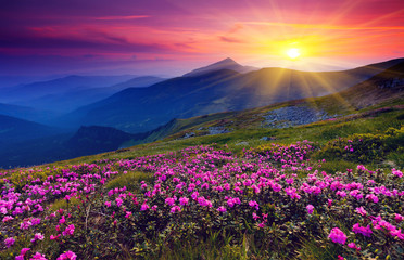 Fototapeta Kolorowy zachód słońca w górach obraz