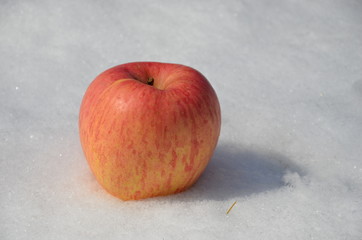 Spring Apple