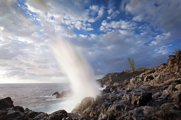 Souffleur - Ile de La Réunion