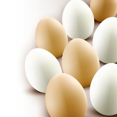 Eggs background