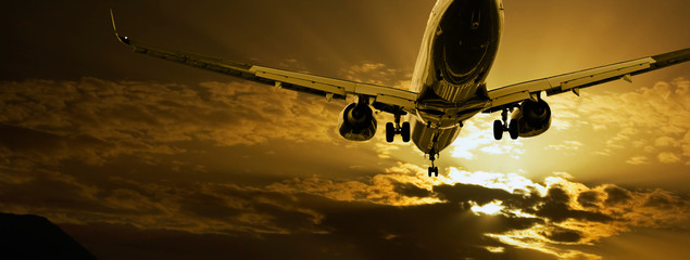 Passenger jet landing against amber sky - 39987327