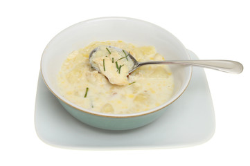 Fish soup