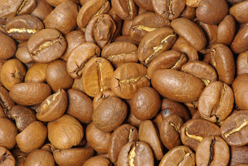 coffee grains