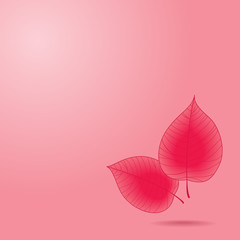 Pink wallpaper with leaves