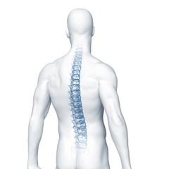 Rücken mit dem Röntgenbild der Wirbelsäule