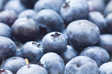 Blueberries background