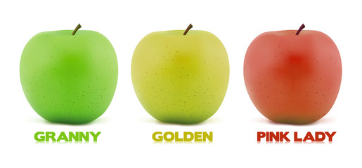 Variété de pommes